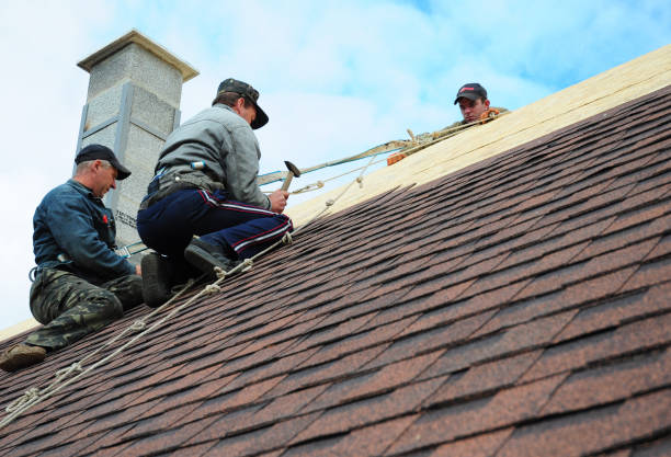 Best Storm Damage Roof Repair  in Sewalls Point, FL